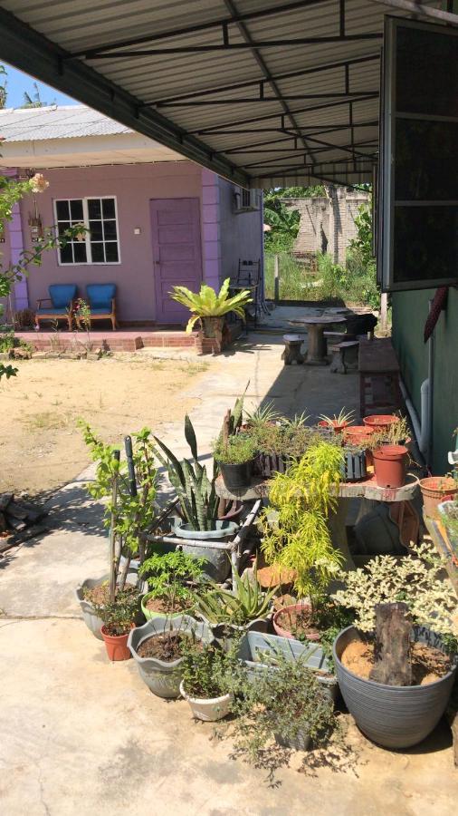 Homestay D Sofia Kuala Terengganu Dış mekan fotoğraf